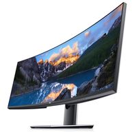 DELL U4919DW computer monitor